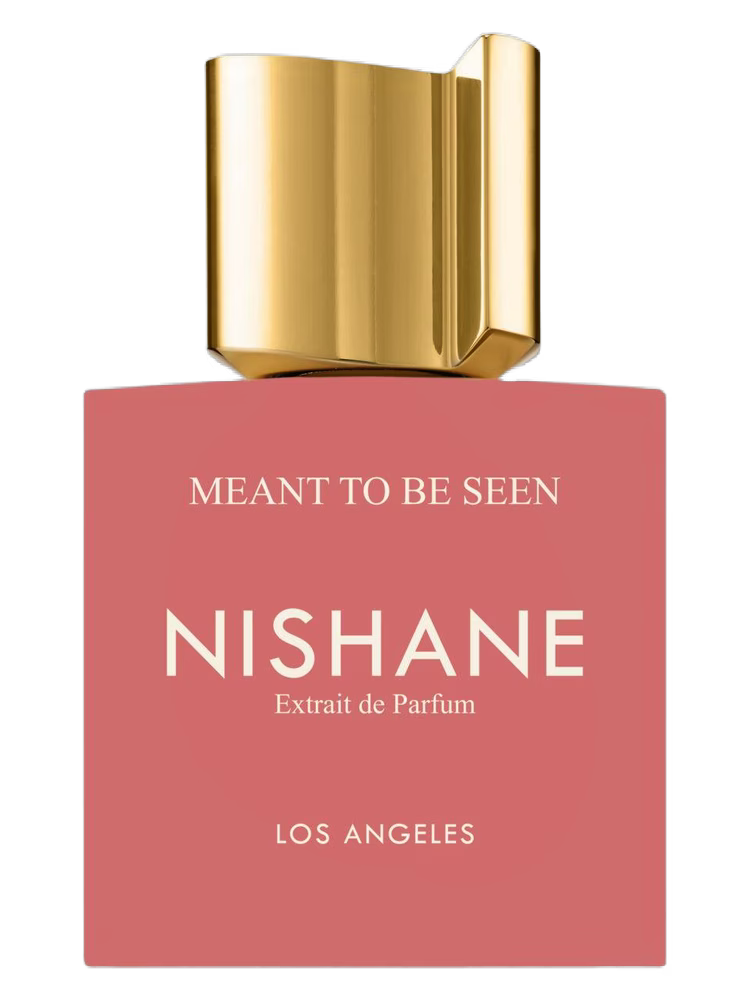 NISHANE Meant To Be Seen Nishane