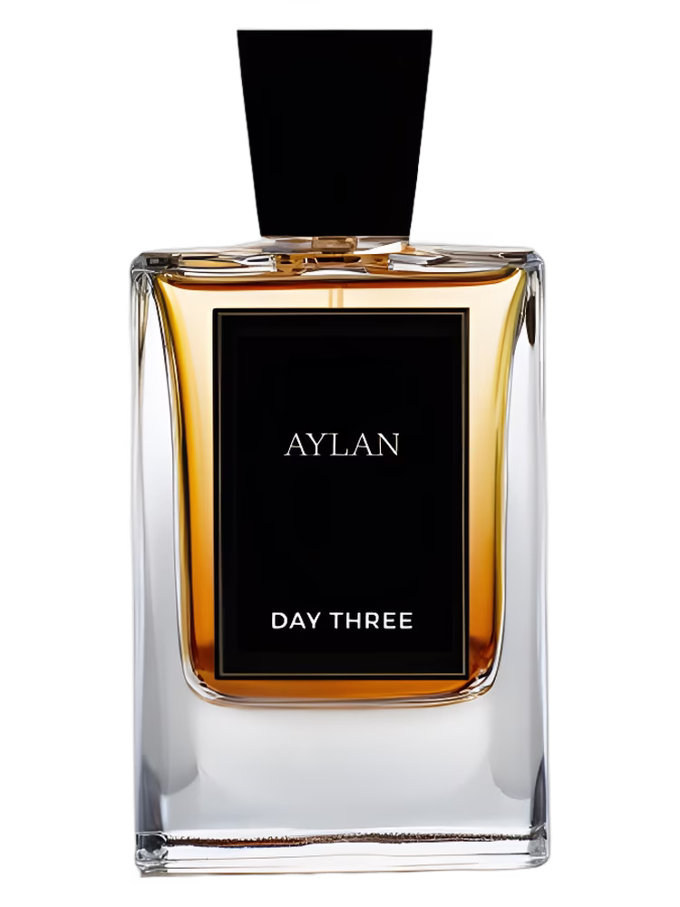 DAY THREE Aylan Day Three